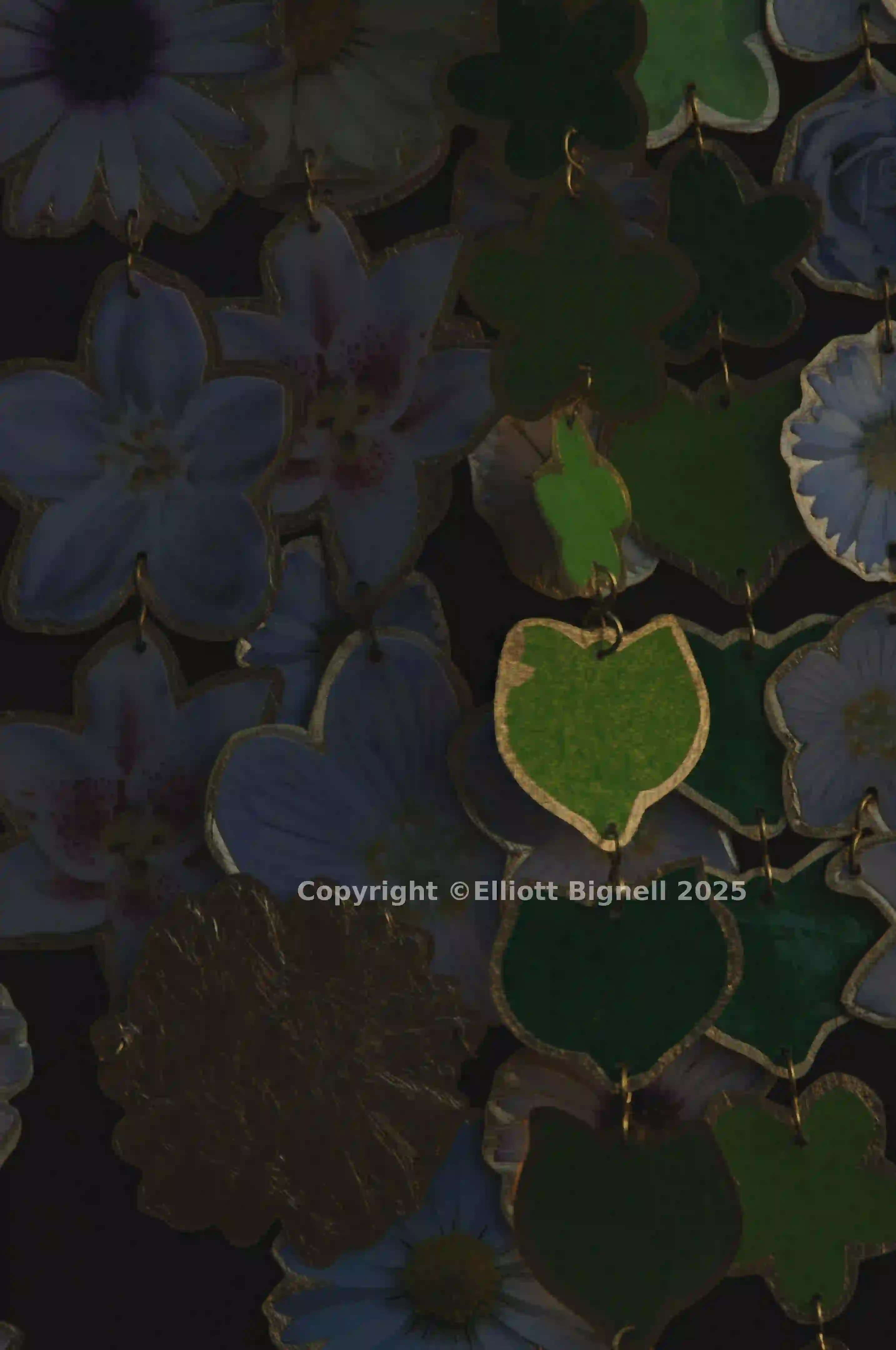 2013-11-12-19.30.52 ZS PMax.jpg